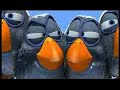 Nice Video