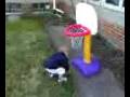 toddler basketball player