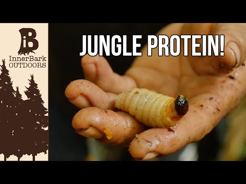 how to isolate parasite proteins