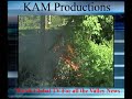 kids-set-brush-fires.html
