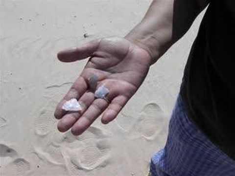 Athabasca Sand Dunes Project 2006