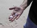Athabasca Sand Dunes Project 2006