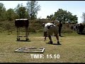 IPSC SAPSA STG 4 Shooter\ IPSC SAPSA STG 4 Shooter\