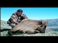Cardrona Safaris