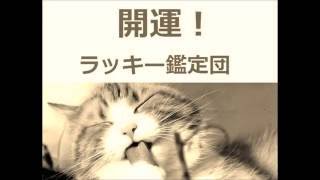 こまちや東京本店