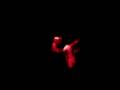 artemis efthimis-ta dika mas paidia