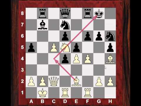 chess candidates 2013 chess candidates 2013