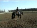 Mister Zantam HUS-EQ 2009.divx