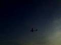 zbor arcus superb.mp4