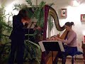 Harp & Viola, harfa i altowka, czyli rodzinny duet