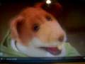 videos de basil brush