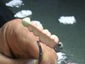how to handle the Cutback procedure