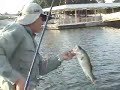 Fishing at Walt Disney World