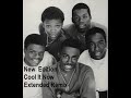 this is the vary rare extended club remix of 