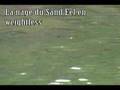 Nage du Sand Eel en Weightless