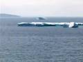 SPRING AND ICEBERGS NEWFOUNDLAND