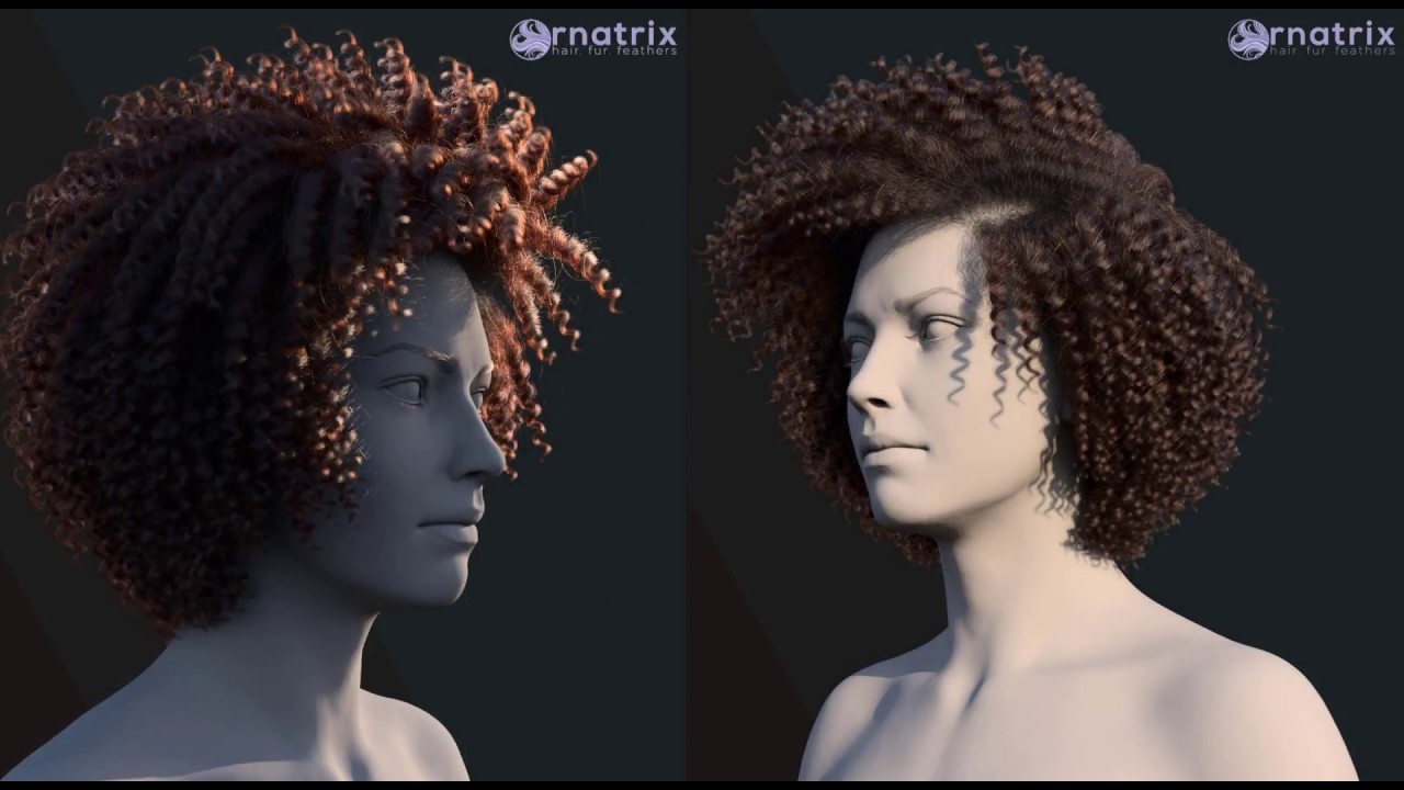 creating curly hairstyle using 3d ornatrix maya tutorial