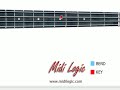 Def Leppard Love Bites Bass Lesson