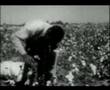 Robert Johnson