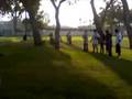 videos de FLIP OFF TREE!!