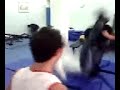 WSF Rocky Johnson vs John Tayson vs Hurricain
