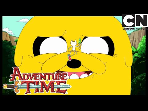 The assassin | Adventure Time | Cartoon Network