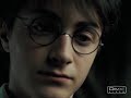 Harry and Draco - Savin\