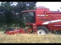 laverda ((hasan g�ven)) bugdayda
