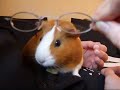 Andis Brille kostet viel Mann!