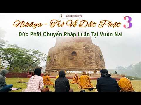 NIKAYA Trở Về Đất Phật 3 - Đức Phật Chuyển Pháp Luân Tại Vườn Nai