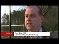 Heimattreue deutsche Fußball-Jugend - Glatze und Hakenkreuz