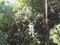 MVI_0094.AVI