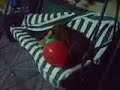 Jugoso kon globos Jugoso kon globos