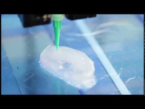 VIDEO: Así funciona la impresora en 3D que reproduce orejas con células vivas