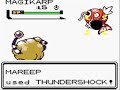 Re: Pokemon Diamond/Pearl - Part 9: Stupid Magikarps!!