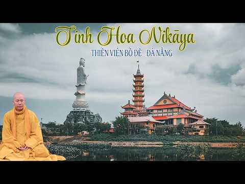 Tinh Hoa NIKAYA - Vận Dụng Từ Bi Hỷ Xả ?