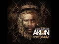 Akon – Used To Know (Remix) feat Gotye & Money J & Frost (Konkrete