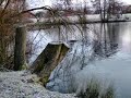 WINTER WONDERLAND.wmv