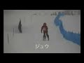 Sled dog race by dachshund