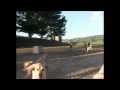 Excited dogs tackle their owner
