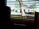 June 22 2007 - Dinner at Applebee\