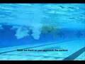 Finis Swimmer's Snorkel