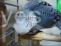 ??????????A pleasant feeling? ??????????A pleasant feeling?