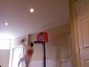 Amazing Mini Hoop Shots