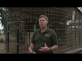 Zoo Animals : About Zoologists