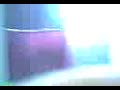 Pollito Enojado en la ducha