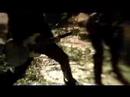 alessana-ambrosia (vide cilp.original)