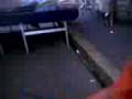 videos de mirkino al mercato di rho.3gp