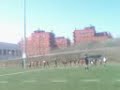 201003141237_169.mp4