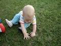 videos de Brincando na grama